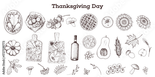Thanksgiving day sketch collection. Vector illustration. Food hand drawn sketch. Autumn food sketch. Engraved image.