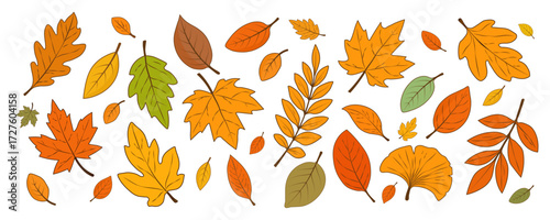 Autumn falling golden, red and orange leaves highlighted on a white background. Seasonal elements for the design. Hello autumn. Vector illustration.