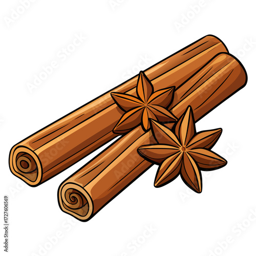 cinnamon sticks and anise