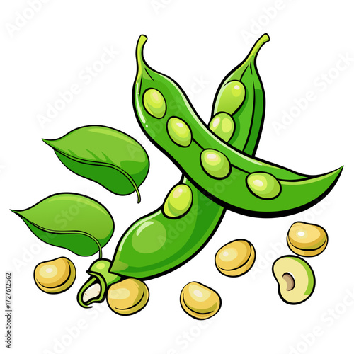 vector illustration of green peas