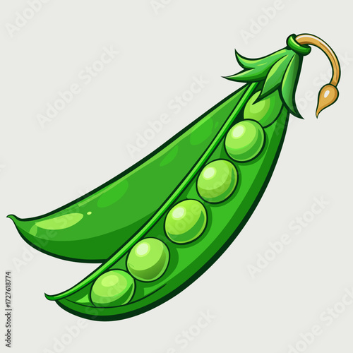 green peas vector illustration