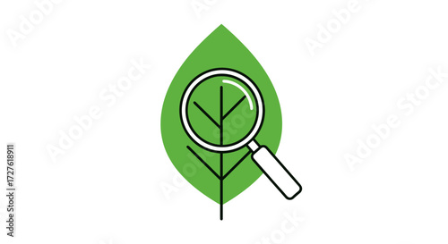 Green leaf with magnifying glass symbolizing nature research and analysis.