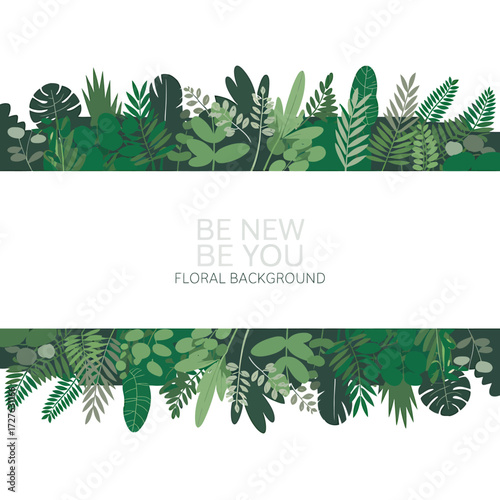 Minimalist botanical illustration of a leafy plant