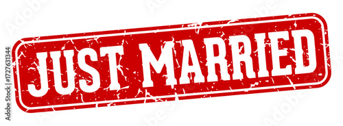 just married rectangular sign. just married stamp