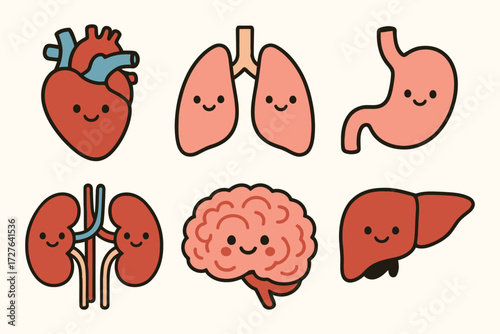 Cute kawaii style human organs cartoon collection for medical education and health