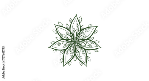 Botanical illustration of a delicate star shaped flower with spiky petals and a textured center.