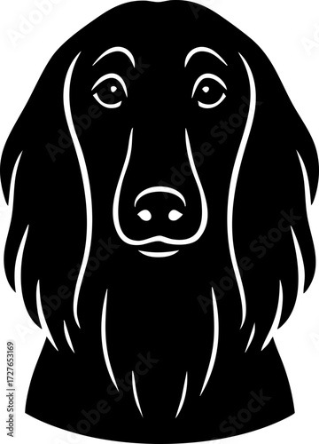 Afghan Hound face shown from the front with long silky coat and narrow muzzle in a stylized outline.