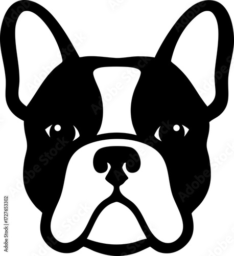 French Bulldog face front view with short muzzle and bat-like ears.
