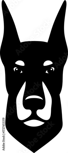 Doberman head front view with strong muzzle and erect ears.