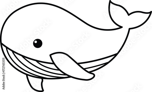 Whale Illustrator kids