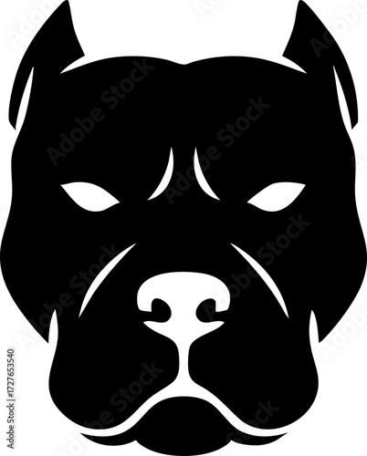 Pit Bull face front view with broad head and muscular jawline.