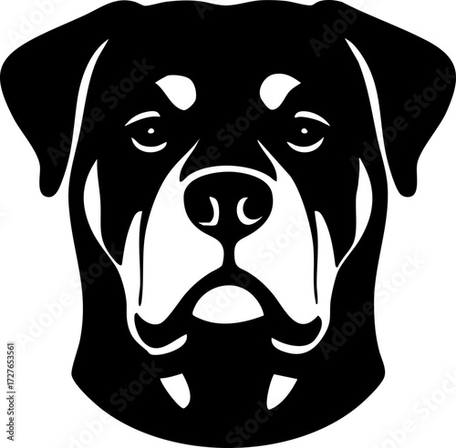 Rottweiler face front view with broad skull and strong features.