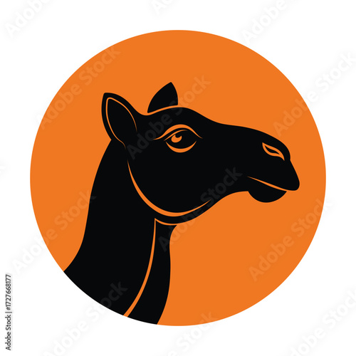 Camel Head Vector Art Illustration 