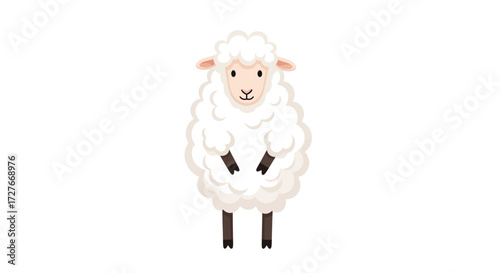 Adorable Fluffy White Sheep Standing Front View.