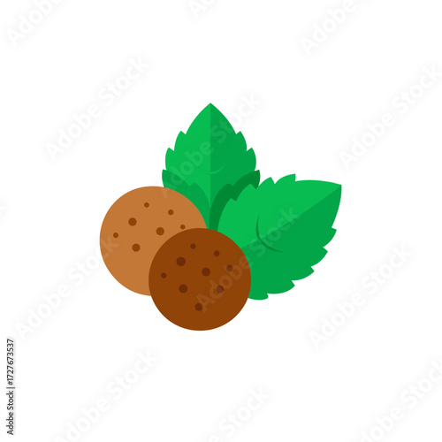 k fte lentil vector  mint  ball  dip  white bg 