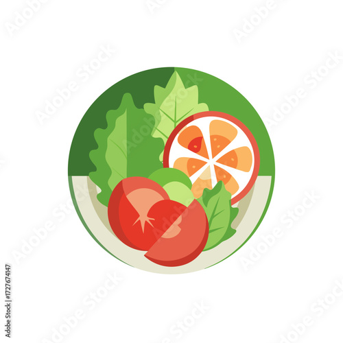 chicor e salad vector  segment  halve  bitter  whi