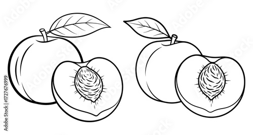 Vector art of peach fruit with leaf and a half hand drawn line art vector illustration