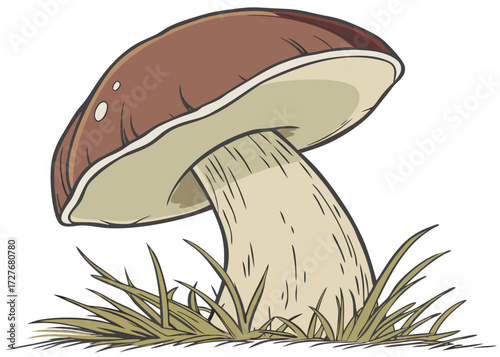 cartoon boletus mushroom illustration with grass on white background