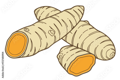 fresh ginger root with cut pieces showing orange flesh for cooking spice and health design and isolated on white background.