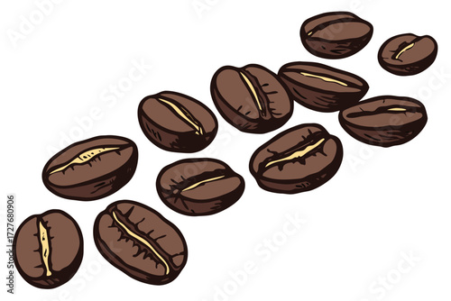 roasted coffee beans scattered illustration for café beverage and coffee shop design isolated on white background.