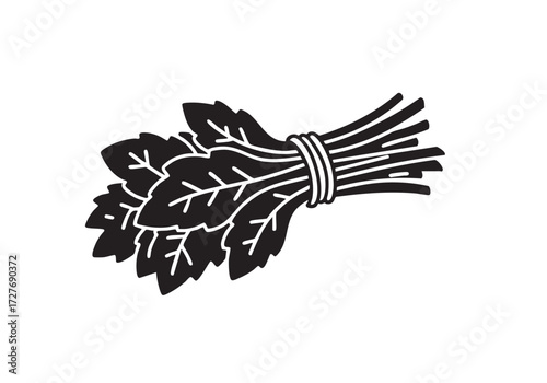 Freshly picked arugula bunch, ready for your culinary creations and healthy recipes