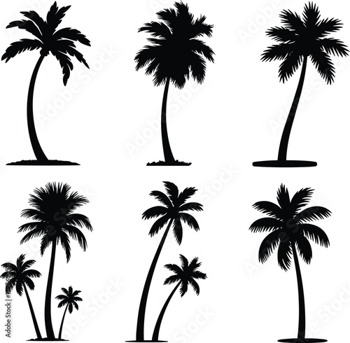 Palm tree silhouettes vector collection, tropical beach coconut trees, black summer nature clipart, island jungle palm illustration, exotic holiday paradise design elements