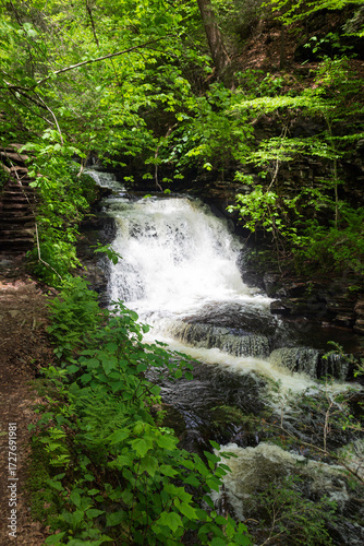 Springtime at 39 foot tall Mohican Falls in Ricketts Glen State Park in Pennsylvania.