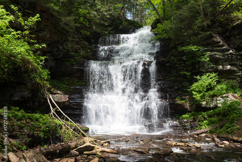 Ganoga Falls, the tallest waterfall at  94 feet in Ricketts Glen State Park, Pennsylvania, in the springtime.