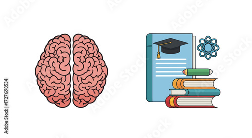 Human Brain Illustration: Anatomy Learning and Knowledge.