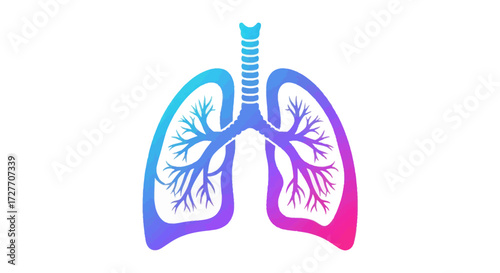 Vibrant Gradient Human Lungs Illustration with Trachea and Bronchial Tree.