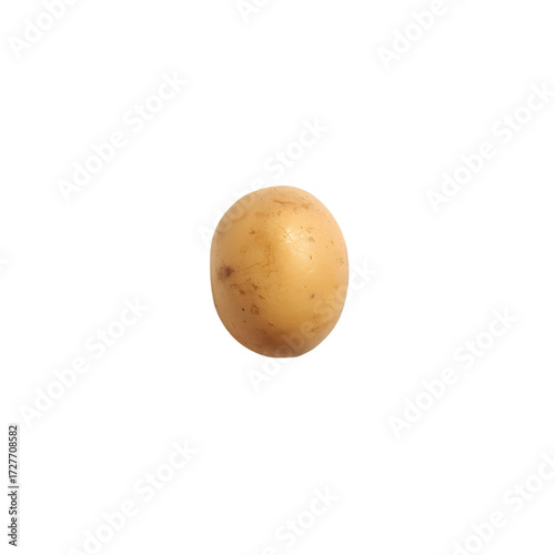 egg isolated on white background