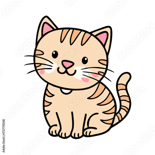 cute cat