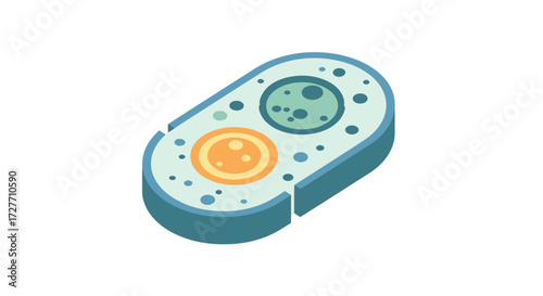 Stylized Isometric Biological Cell Diagram with Internal Structures.
