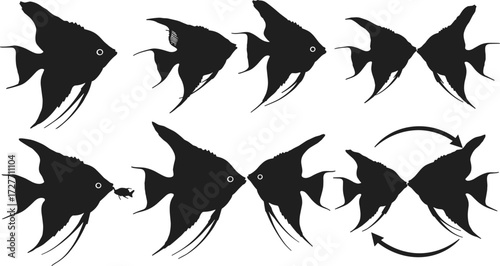 Angelfish silhouette, fish transformation, aquatic evolution, black illustration, marine concept, nature sketch, symbolic behavior