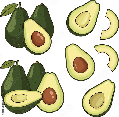 Vector, illustration, green avocado fruits with various slices, food