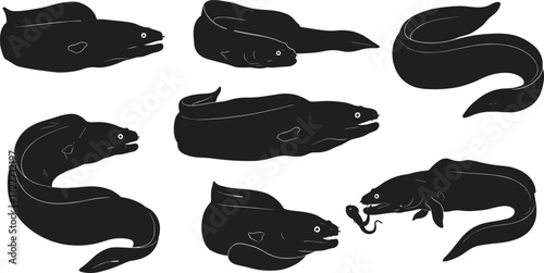 Electric eel illustration, anatomy sketch, black silhouette, aquatic behavior, electricity emission, nature study, scientific reference