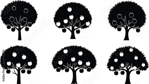 Apple tree silhouettes, orchard design, fruit trees with apples, seasonal foliage variations, botanical illustration, farming, agriculture, vector art, nature concept