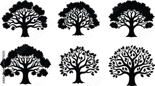 Set of tree silhouettes, diverse branching patterns, foliage variations, botanical illustration, natural forest elements, decorative plants, black vector art design