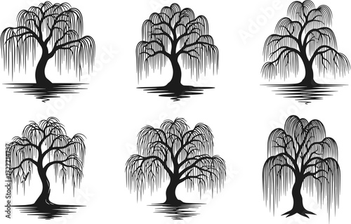 Set of willow tree silhouettes with reflections, drooping branches, curved trunks, botanical illustration, decorative foliage, forest landscape, vector art design