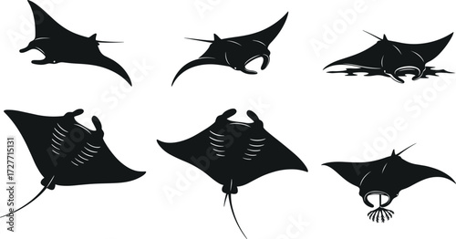 Manta ray silhouette, swimming posture, black illustration, marine anatomy, aquatic sketch, ocean creature, nature pose