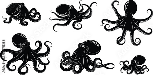 Octopus silhouette, tentacle motion, black illustration, marine anatomy, aquatic sketch, nature pose, sea creature design