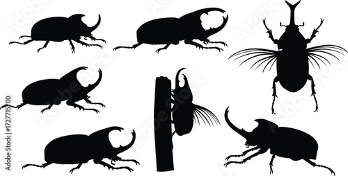 Rhinoceros beetle silhouette, insect anatomy, black vector art, horned beetle pose, nature sketch, entomology reference