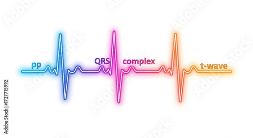 Colorful ECG Heartbeat Waveform Illustration with Labeled Components.