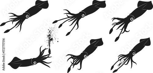 Squid silhouette, ink release, marine anatomy, black illustration, aquatic sketch, nature pose, cephalopod defense behavior