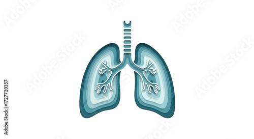 Human Lungs Illustration with Trachea and Bronchi.
