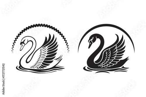 Two elegant black and white swan silhouettes in water