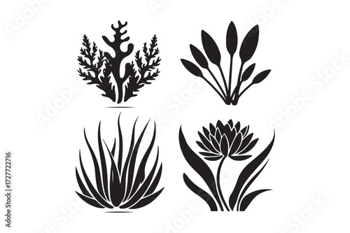 Four silhouette illustrations of aquatic plants and flowers