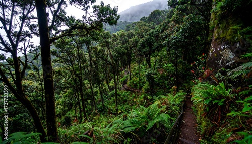 Lush rainforest scene, showcasing a winding path amidst ferns and vibrant, verdant foliage