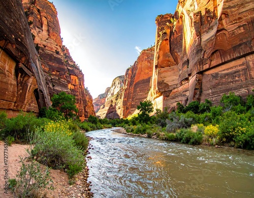 Canyon river landscape