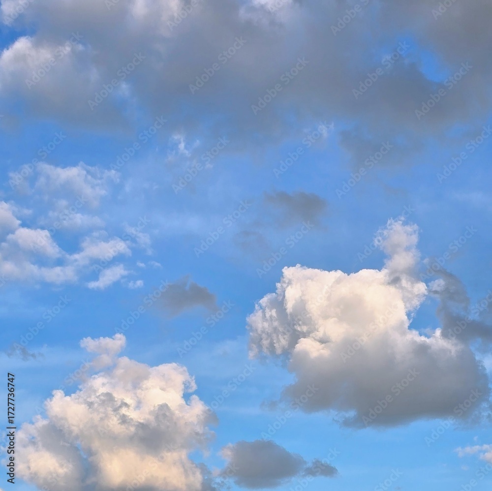 Obraz premium Fluffy Clouds on a Sunny Day